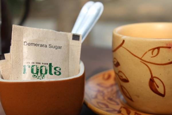 Pure Roots Cafe Roots Cafe In The Park: Organic Food Review - Pure & Eco India ...