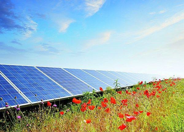 Cultivator_s solar operated organic farms