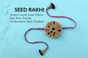 Purple organic cotton seed rakhi embedded with organic seeds of Bixa, Pigeon Pea, Basil, Purslane, Amaranthus and Roselle