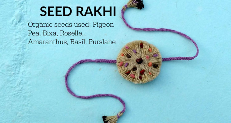 Purple organic cotton seed rakhi embedded with organic seeds of Bixa, Pigeon Pea, Basil, Purslane, Amaranthus and Roselle