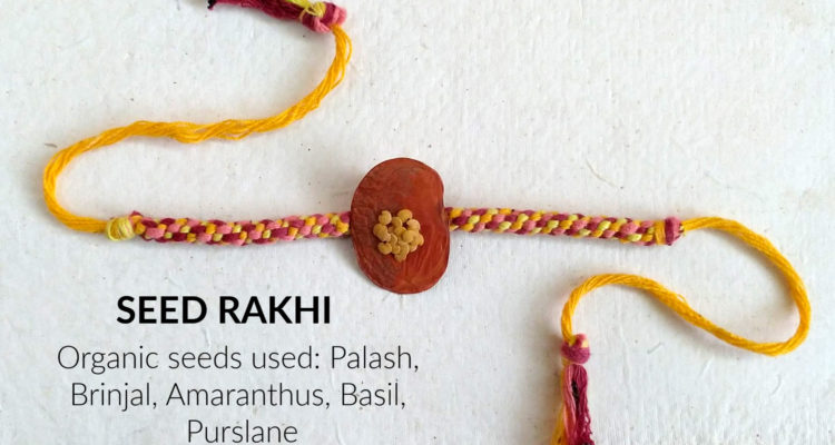 Red & yellow organic cotton rakhi studded with organic seeds of Palash, Brinjal, Amaranthus, Basil, Purslane