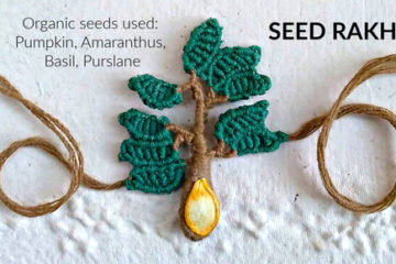 Yellow & green tree seed rakhi made with organic cotton and organic seeds of pumpkin, purslane, amaranthus and basil