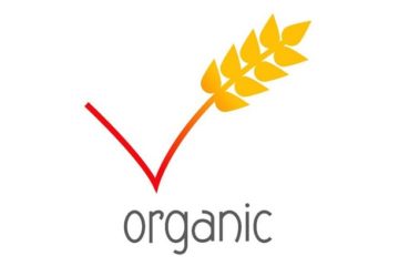 Organic tickmark artwork (red & yellow)