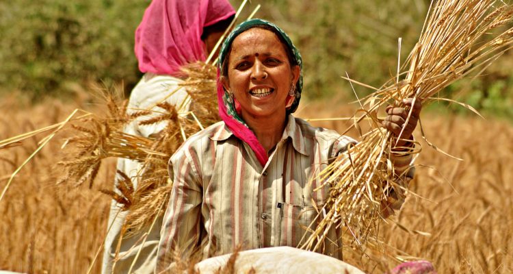 Women farmers in Uttarakhand – Pure & Eco India – Organic Magazine ...