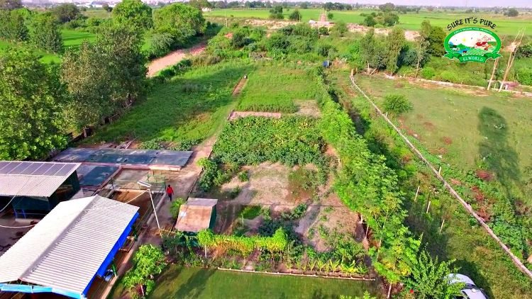 Elworld Agro’s organic farm in Khair, Aligarh (UP), India-2