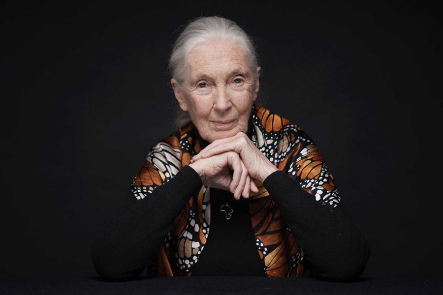 Dr Jane Goodall will deliver keynote address at BIOFACH 2020. ©NürnbergMesse