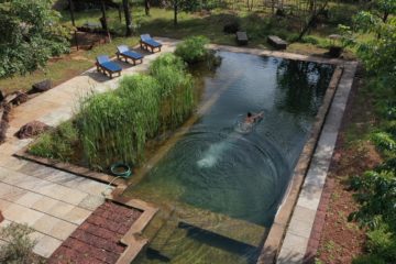 Organic swimming pool - eco pool-chlorine-free pool at Dudhsagar Plantation organic farmstay Goa. Photo © Pure & Eco India