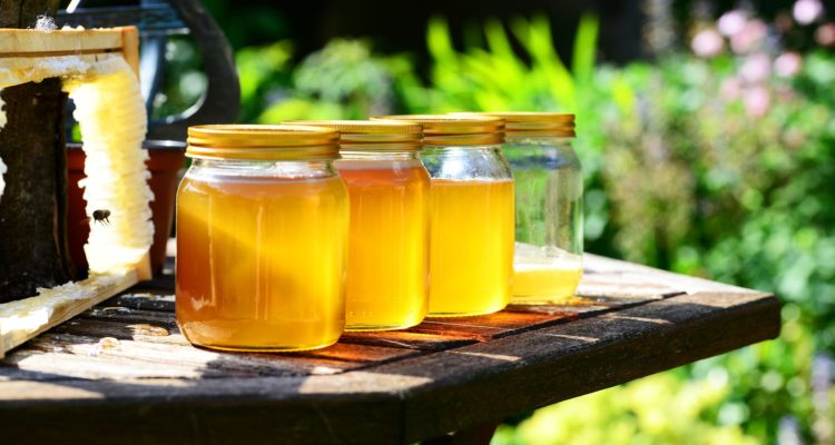 honey jars-Pure & Eco India