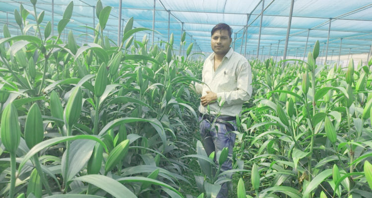 Ashish Patel -organic farmer from Madhya Pradesh-Pure & Eco India