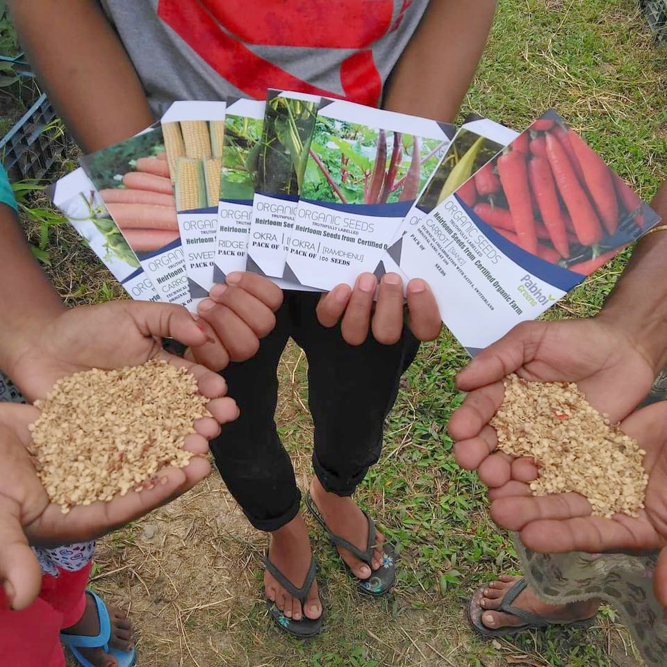 Organic seed production at Pabhoi Greens - Pure & Eco India