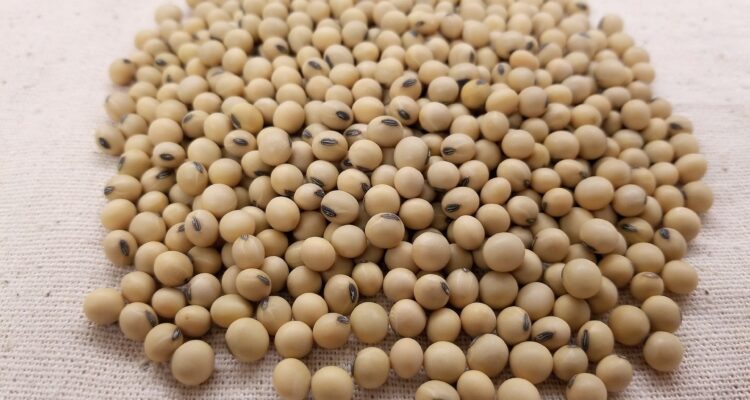 Soybean-Pure & Eco India
