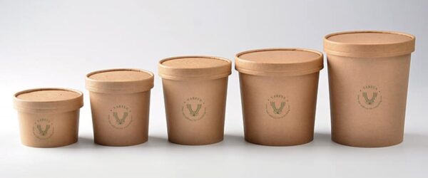 Varsya.com disposable containers - Pure & Eco India