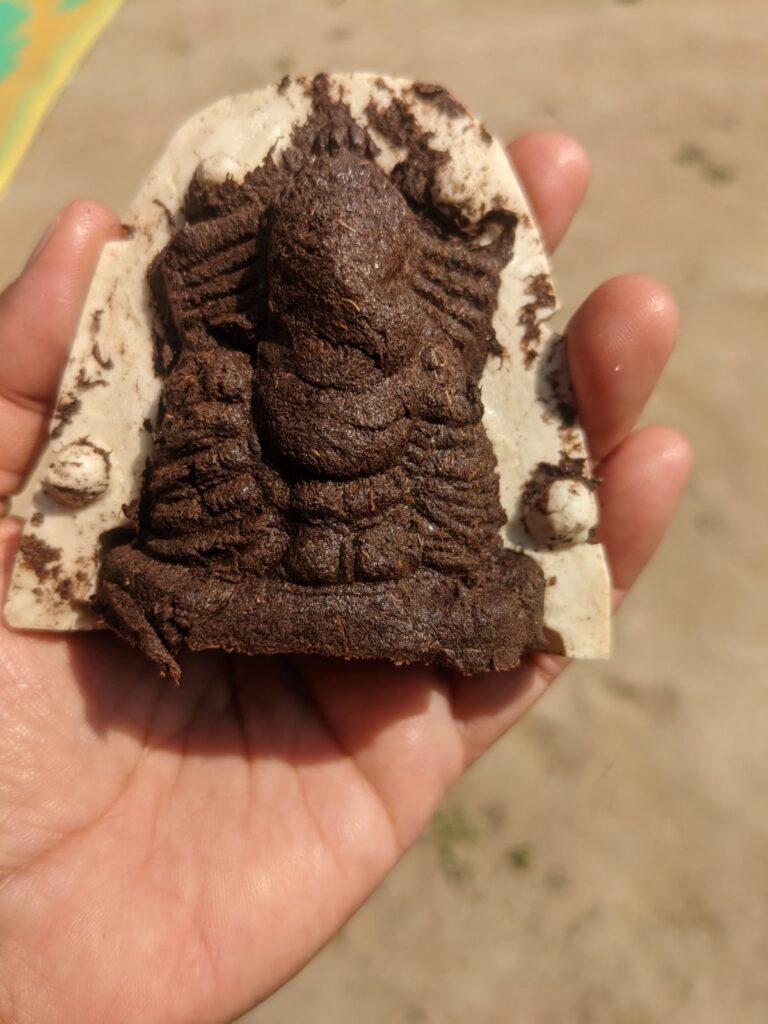 Dung Ganesha-Panchwati - GenZ Farm -Pure & Eco India