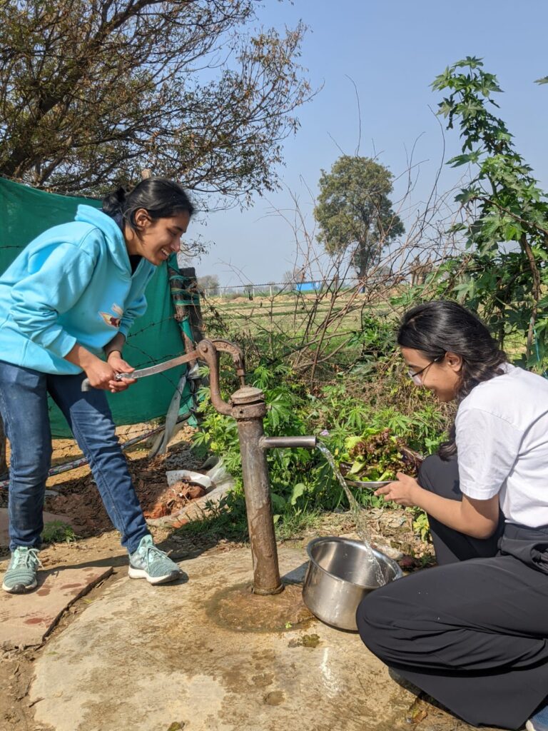 Panchwati - GenZ Farm -Pure & Eco India 4