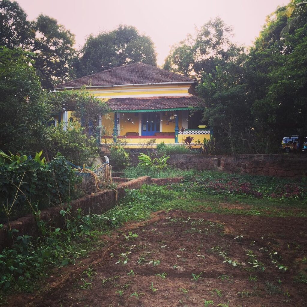 Tinu Verghis' house in Goa-Pure & Eco India