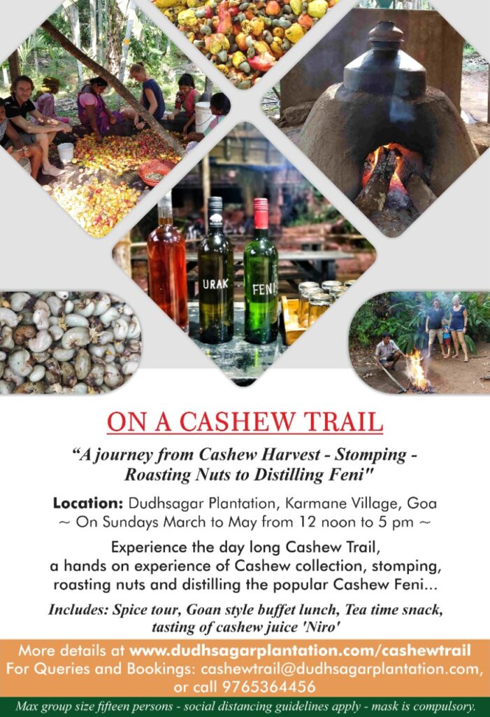 Flyer for The Cashew Trail at Dudhsagar Plantation in Goa-Pure & Eco India